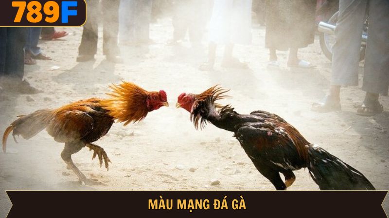 Màu Mạng Gà Đá – Giải Mã Ngũ Hành Chọn Lọc Chiến Kê
